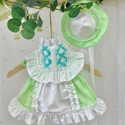 Girl Dog Clothes Summer Pet Dress + Hat Puppy Apparel Yorkies Chihuahua Cat Pomeranian Shih Tzu Poodle Bichon Schnauzer Clothing