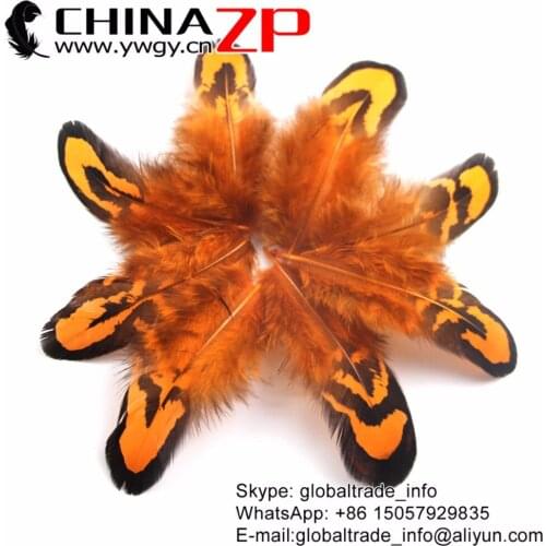 CHINAZP 200pcs/lot 6-10cm Exporting Good Quality Tiny Dyed Orange and Natural Black Reeves Venery Pheasant Plumage Feathers