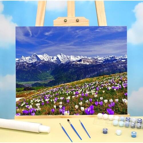 Flower Landscape DIY Paint By Numbers Set Acrylic Paints 40*50 Boards By Numbers Decorative Paintings Children Drawing