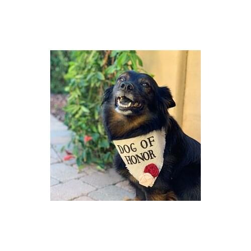 Personalized save the date Dog of Honor Pet Wedding Bandana in Ivory Burlap with Flowers Pet Bridal Outfit Engagement Photos