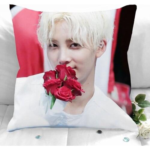 Yoon Jeong Han Pillow Cover Bedroom Home Office Decorative Pillowcase Square Zipper Pillow Cases Satin Soft