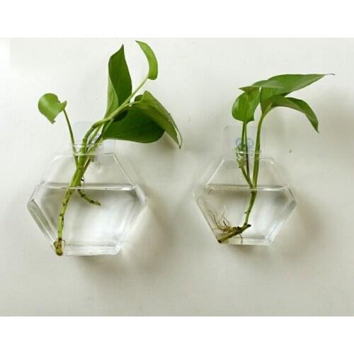 Wall Hanging Clear Glass Vase Flower Plant Hydroponics Bottle Container Terrarium Pot Home Garden Decor
