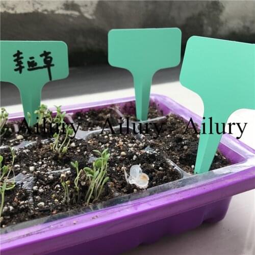 High 10cm,50pcs/lot,Plastic gardening T-shaped label flower sowing small signage green plant succulent potted card