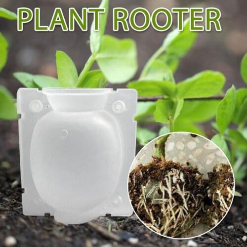 1Pc Greenhouse Plant Rooting Ball Grafting Rooting Growing Box Breeding Case For Garden Plant High-pressure Propagation Box