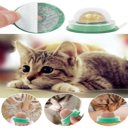 New 1pc Healthy Cat Catnip Snacks Catnip Healthy Candy Licking Energy Ball Kittens Cat Toy Cat Keep Pet Supplies Accessories