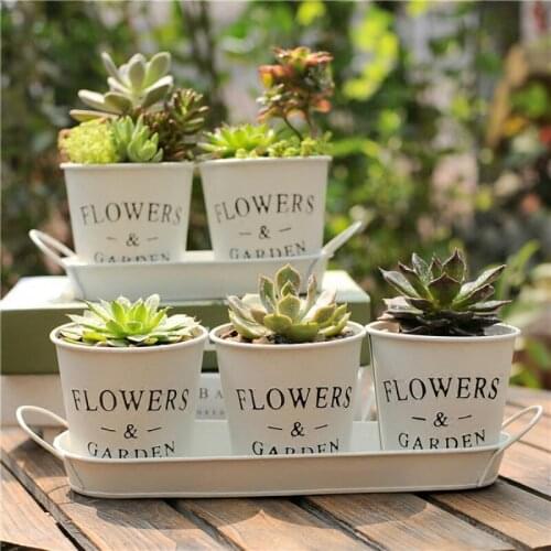 1set White Metal Flower Bucket Nordic Style Creative Succulent Plant Pot Iron Personality Floral Tray Bonsai Decoration Vase