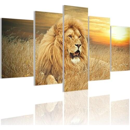 African Lion Natural HD Posters 5 pcs Canvas Painting Wall Art Print Pictures for Living Room Interior Home Decoration Frame