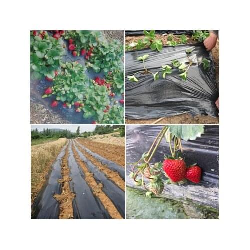 Black agricultural film strawberry PE film garden flower greenhouse plastic garden mulch film plant cover