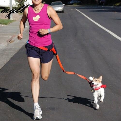 Mylb Attractive Beautiful Colorful Popular Traction Pulling Leash Pet Dog Running Jogging Convenient Safe Fashional Goods