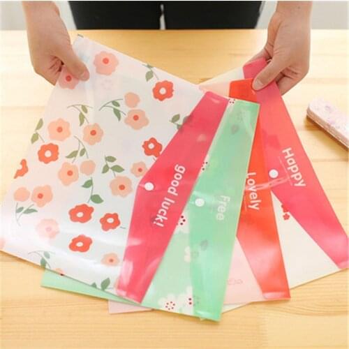 DL South Korean small fresh multi-functional A4 bag bill Office Bag student test