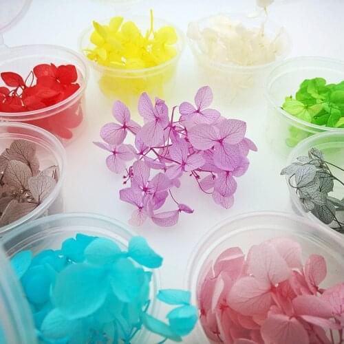 One box 20pieces petal Natural small leaf Hydrangea Dried flowers glass globe filler DIY jewelry making jewelry findings
