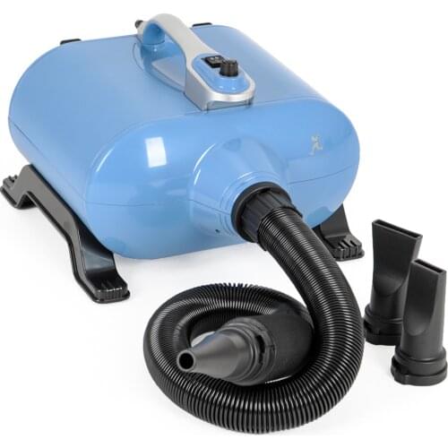 Dog Special Double Motor Pet Water Blower Practical Dog And Cat Hair Dryer Drying High Power Small Large Dog Blow Hair Home