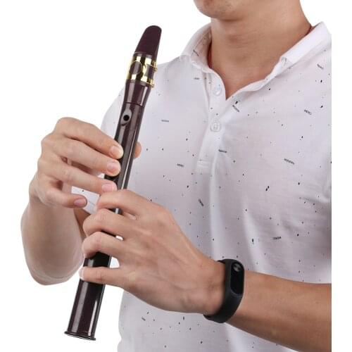 8-Hole Pocket Sax Mini Portable Saxophone Little Saxophone With Carrying Bag Woodwind Instrument Musical Accessories