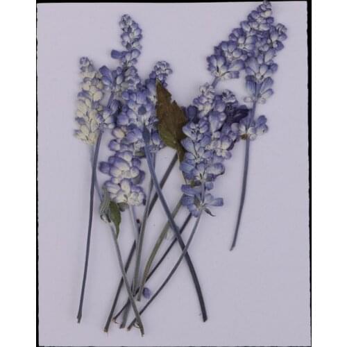 Cuticate Artificial Flowers For Decoration