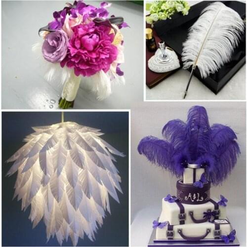 High quality 30-35cm natural ostrich feather,Wedding arrangement feathers ,feather products,mix color available,100piece/lot