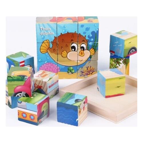 Ecoz Puzzles & Puzzles