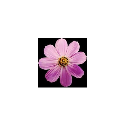 Test Home And Garden Products