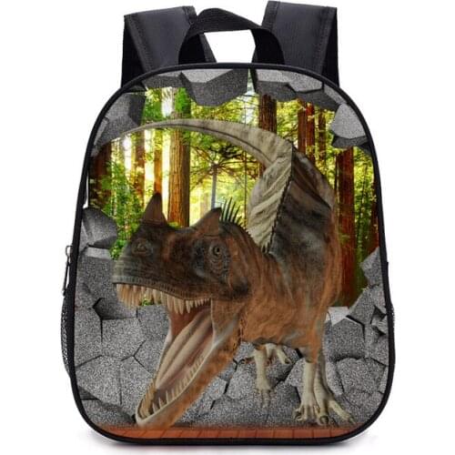 13 Inch Cartoon Dinosaur Kids Backpack Kindergarten School Bag Children Printing Backpack Girls Boys Mochila