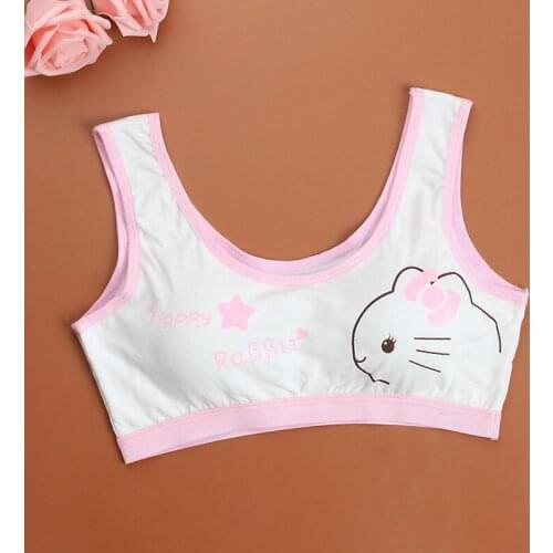 CC.AMILY Travel Vests