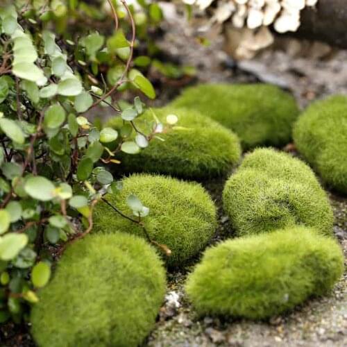 1 pcs Simulation moss stone green pebbles lawn micro landscape decoration simulation fake stone home garden Plant Wall Decord