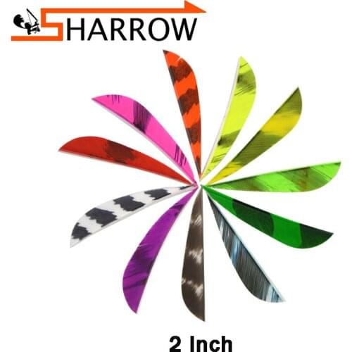50 Pcs Archery 2 Inch Turkey Feather Colorful Various Styles Right Wing Stripe Drop Shape For Compound Recurve Crossbow Arrow