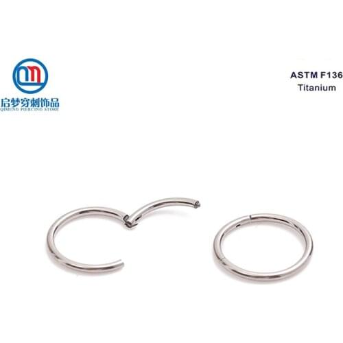 G23 Titanium Body Jewelry 14G Hinged Clicker Segment Ring