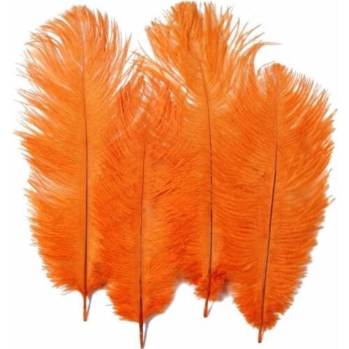 Free shipping 500pcs/lot AAA Quality Natural Ostrich Feathers 25-30cm/10-12inch for crafts, DIY cosplay accessory Carnival Decor