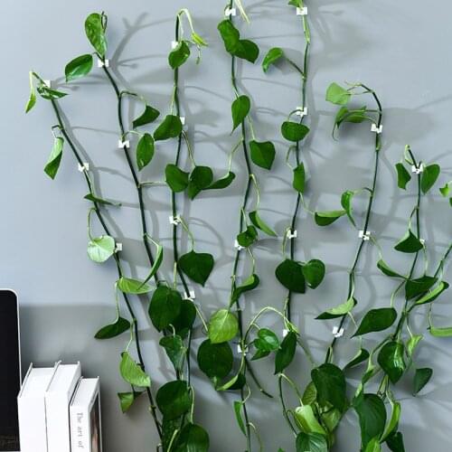 Invisible wall Rattan Clamp Plant climbing Vine Clips Self-Adhesive Fastener Tied fixture Vine Fixed Buckle Sticky Hook Supports