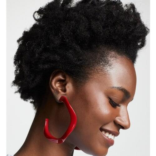 OMY Acetate Acrylic emo Circle Hoop Earrings For Women Leopard Print Resin Geometric Big Earring Za Fashion Jewelry