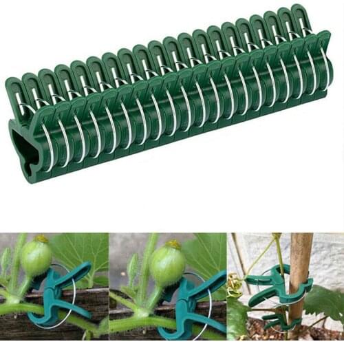 30Pcs Garden Plant Clip Seedling Plant Support Tool Small Size Green Growing New