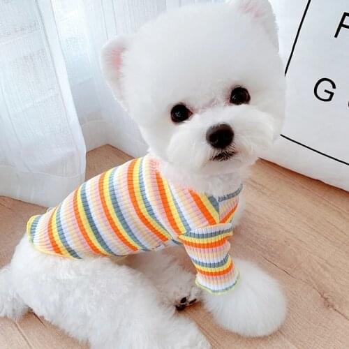 New Puppy Winter Sweater Costume Rainbow Striped Dog Clothes For Small Dogs Ruffle Collar Dogs Shirts Autumn Pet Chihuahua Knit