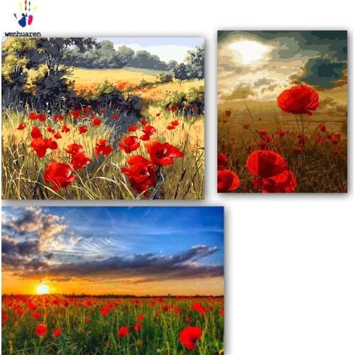 DIY colorings pictures by numbers with colors A sea of flowers in the wild picture drawing painting by numbers framed Home