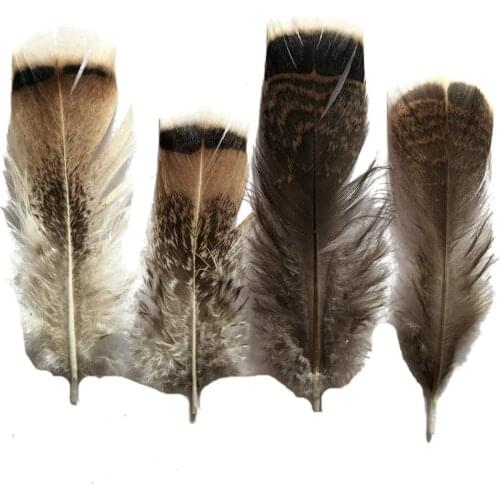 Wholesale 100Pcs/Lot Turkey Pheasant Plumage Eagle Feathers 10-15cm/4-6inch Pheasant Feathers for Crafts Carnival Plumas Plumes