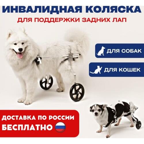 Liras Dog Training Collars And Dog Repellents