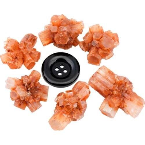 TUMBEELLUWA 1Lot (5Pc) Natural Aragonite Crystal Cluster Mineral Specimen Random Stone