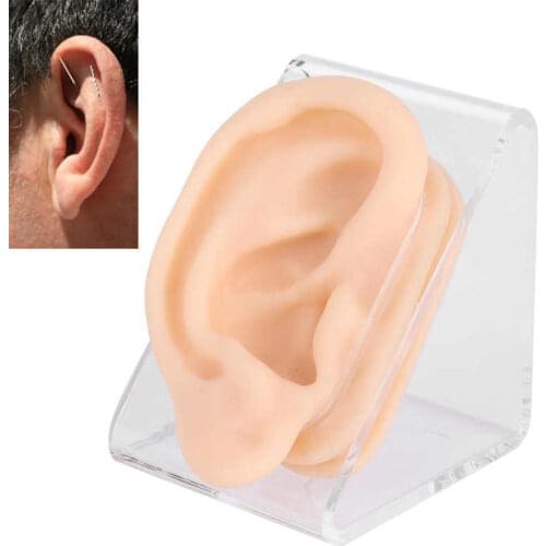 Soft Silicone Ear Model Simulation Ear Acupuncture Practice Model for Hospital Display