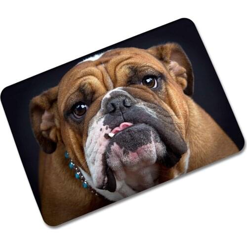 New Dog Cat Thin Rubber Home Modern Door Mat Bathroom Mat Rug Carpet Floormat Bedside Mat Doormat