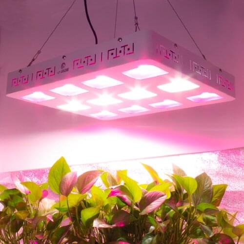 COB LED Grow Light Full Spectrum 1200W LED Plant Grow Lamp For Indoor Plant Flowering Hydroponics Greenhouse Grow Tent Lighting