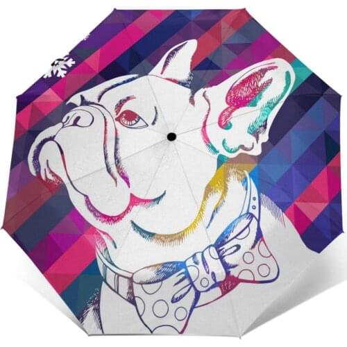 French Bulldog Zodiac Illustration Windproof Automatic Folding Inverted Umbrella Portable Paraguas for Man Woman