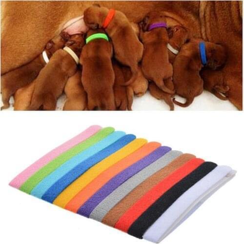 1200Pcs/lot Dogs Collars Puppy Kitten Identification Collar Kitten Whelping ID Collar Bands For Small Dogs Cats Pet Supplies