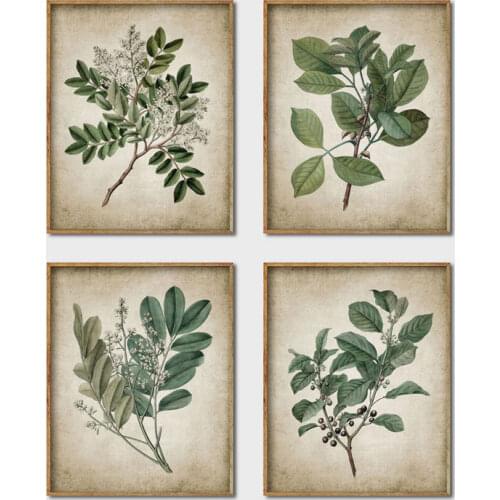 Green Plant Wall Art Prints Retro Poster Vintage Leaves Canvas Painting Print Botanical Art Decor Wall Picture Home Decoration