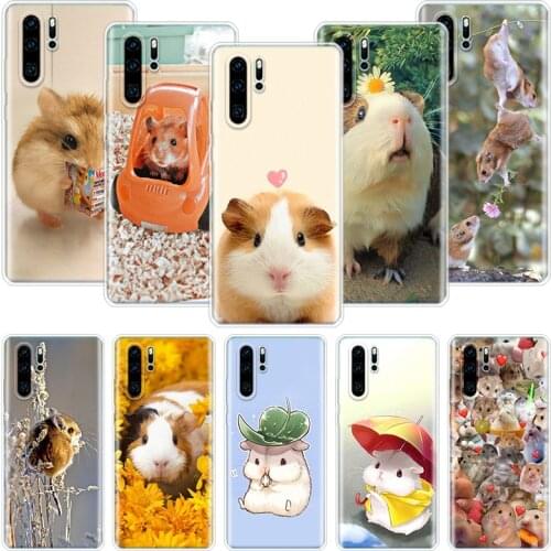 Cute Lovely Pet Hamster Phone Case For Huawei Honor 10 9 20 9X 8A 8X 8S 7A 7X Lite Pro 10i 20i Y5 Y6 Y7 Y9 2019 Cover Coque