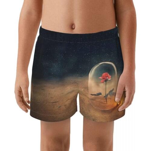 The Little Prince Hot sell swimming Trunks boys Beach shorts Swimwear with Pocket trunks cute springs Sports suit kid Swimsuit
