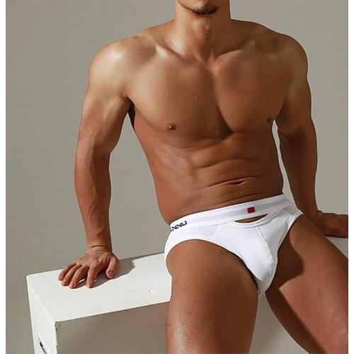 Men Briefs Sexy Men Underwear Cotton Cueca Tanga Homme Low Waist Underpants Breathable hole Men boxers Underwear