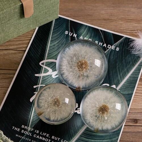 Real Dandelion Crystal Glass Resin Lens Ball 70/80/90mm Natural Plants Specimen Feng Shui Flowers Christmas Love Gift Home Decor