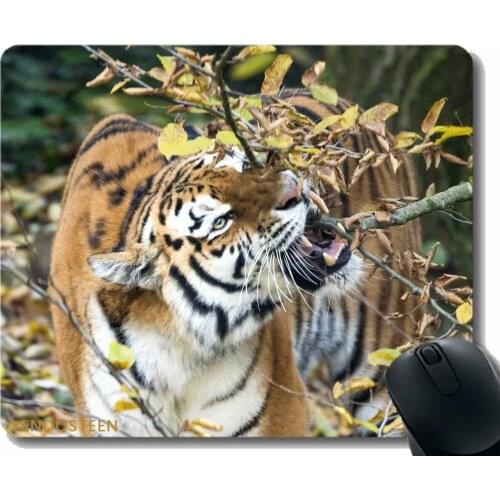 Mouse Pad Anti-Slip,Tiger Predator Big Cat 172379 Mouse Pad With Stitched Edge