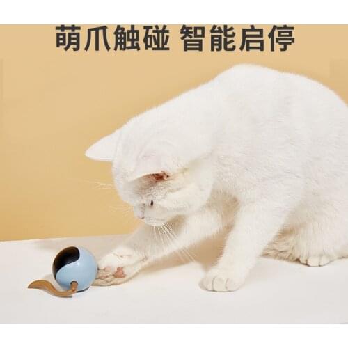 New Led Light Cat Toy Electric Intelligent Automatic Funny Cat Ball To Relieve Boredom And Bite Pet Toy