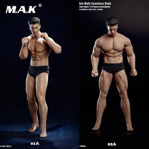 16.3cm TBLeague PH2019 TM01A/02A 1/12th Male Suntan Skin Seamless Muscle Body Mini Figure with head full set doll toy for fun