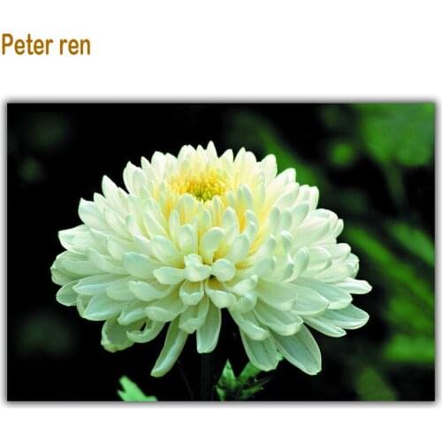 Diy Diamond painting Ccross stitch KIT Classic Choice 3D square diamond mosaic rhinestone paste full Needlework chrysanthemum