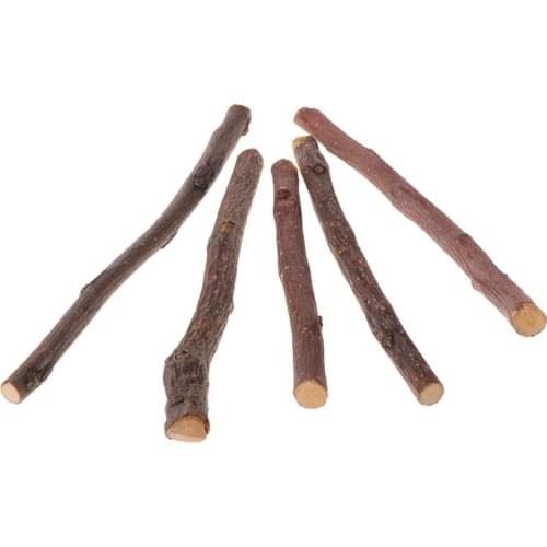 5pcs Chew Stick Tree Hamster Squirrel Natural Toys Parrots Rabbits